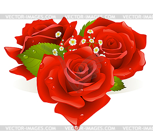 Three roses in the shape of heart - vector clipart