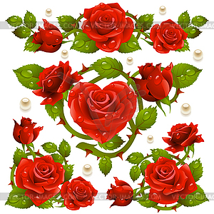 Red Rose design elements - vector image