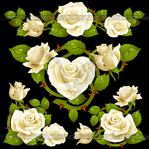 White Rose design elements - vector clipart