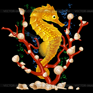 Sea horse - vector image