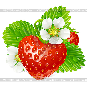 Strawberry in the shape of heart and white flower - vector clipart