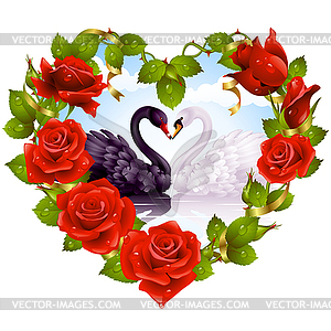 Red Roses and couple Swans - vector image