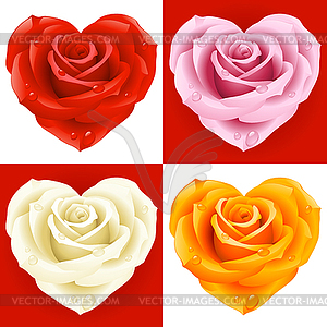 Roses in the shape of heart - vector image