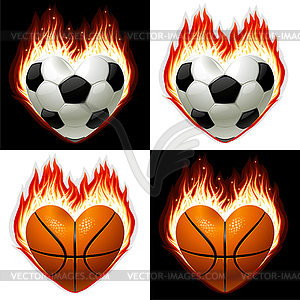 Football, basketball  ball  - vector clipart