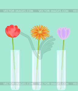 Три отдельные цветы в вазах с водой - векторный рисунок