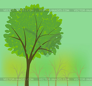 Summer park background - vector clipart / vector image