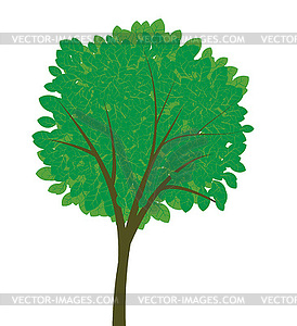 Tree in graphic style - vector clipart