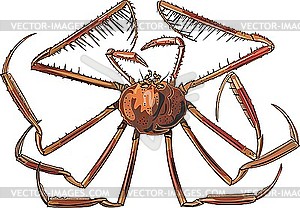 Crab - vector clip art