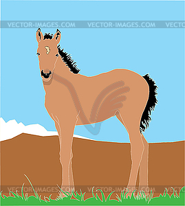 Horse - vector image