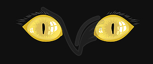 Cat eyes - vector clip art