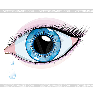Синий Женская глаз - иллюстрация в векторе