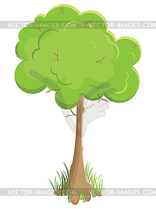 Green tree. - royalty-free vector image