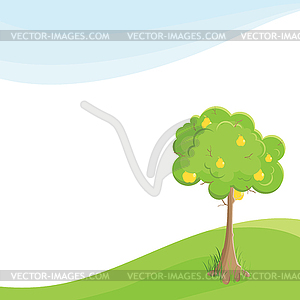 Pear on field - vector image