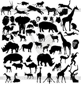 Set of african and tropical animals - vector clipart