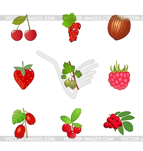 Set of berries - vector clip art