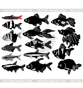 Big set of aquarian fish - vector clip art