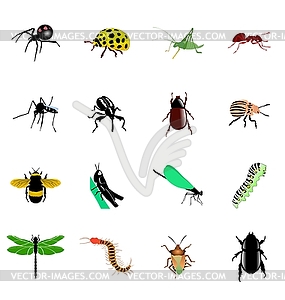 The set of different kinds of insects and spiders - vector image