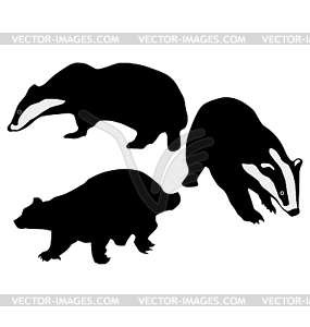 Set of badger silhouettes - vector clipart