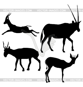 Set of silhouettes of gazelle - vector image