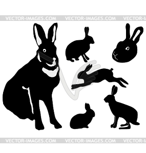 Set of silhouettes of hare - vector image