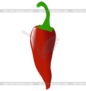 Red hot chili pepper - vector image