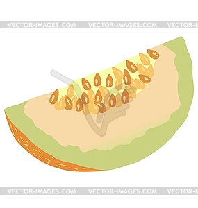 Slice of melon - vector clip art