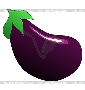 Eggplant - vector image