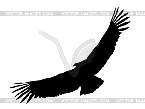 Silhouette of condor - vector image