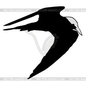 Silhouette of tern - vector clip art