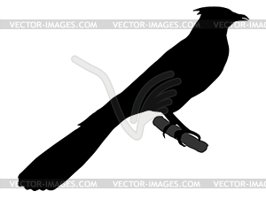 Silhouette of cuckoo - vector clip art