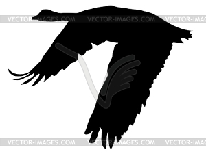 Silhouette of goose - vector image