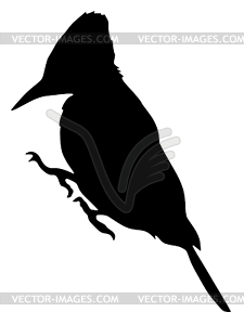 Silhouette of woodpecker - vector clipart