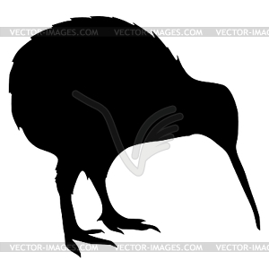 Silhouette of kiwi - vector image