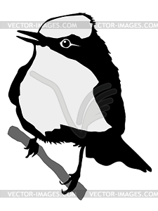 Silhouette of flycatcher - vector clipart