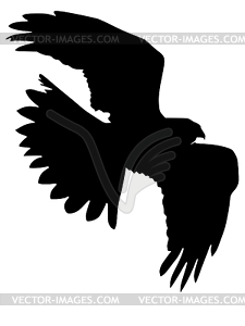 Silhouette of harrier - vector clip art