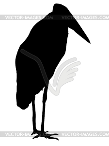 Silhouette of marabou - vector clipart