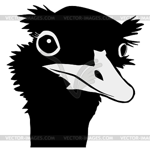 Silhouette of nandu - white & black vector clipart