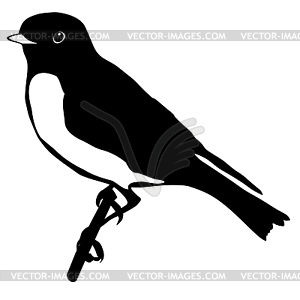 Silhouette of bluebird - vector clipart