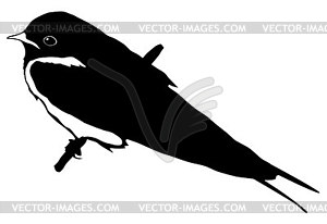 Silhouette of swallow - vector clip art