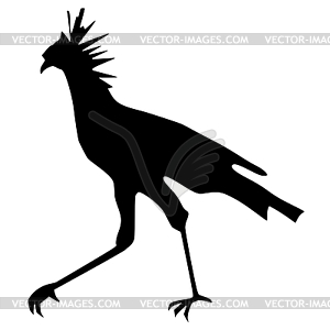 Silhouette of secretary bird - vector clipart / vector image