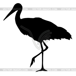 Silhouette of stork - vector clipart