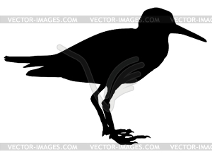 Silhouette of sandpiper - vector image