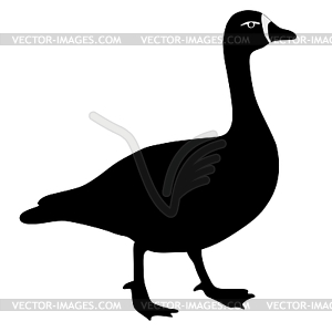 Silhouette of goose - vector clip art