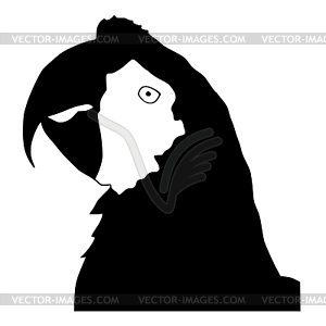 Silhouette of macaw - vector image