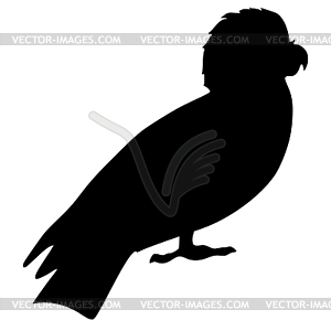 Silhouette of lory - vector clipart