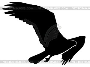 Silhouette of osprey - vector image