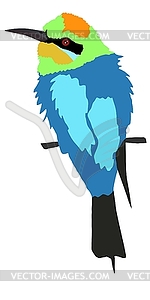 Bee-eater - vector clipart
