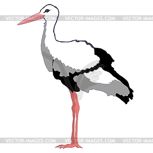 Stork - vector clipart