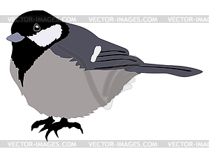 Tit - vector clipart