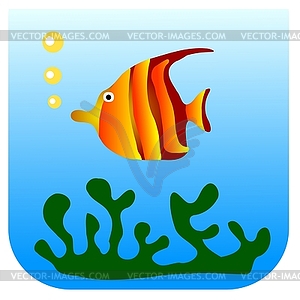 Aquarium fish - vector clipart